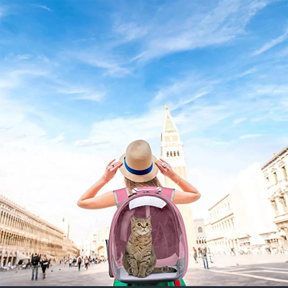 Transparent Pet Bubble Backpack