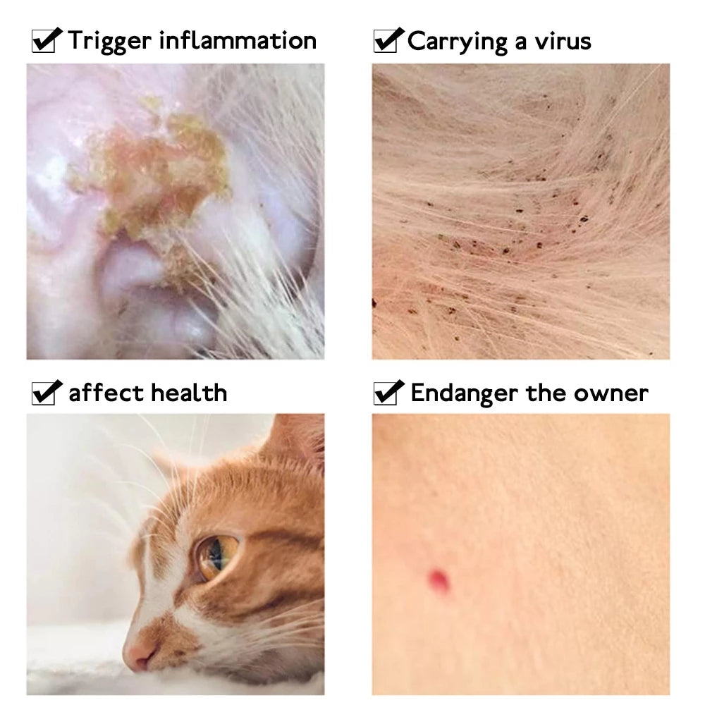 Anti-Flea Tick Collar for Cats and Dogs