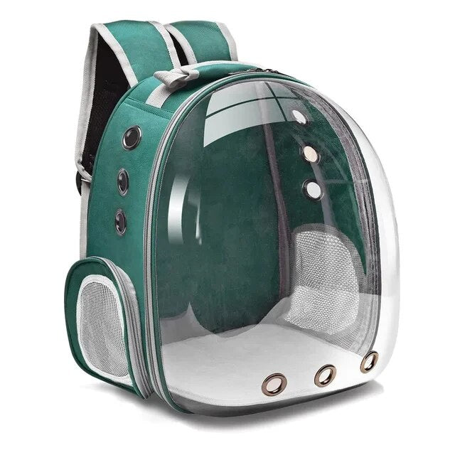 Transparent Pet Bubble Backpack