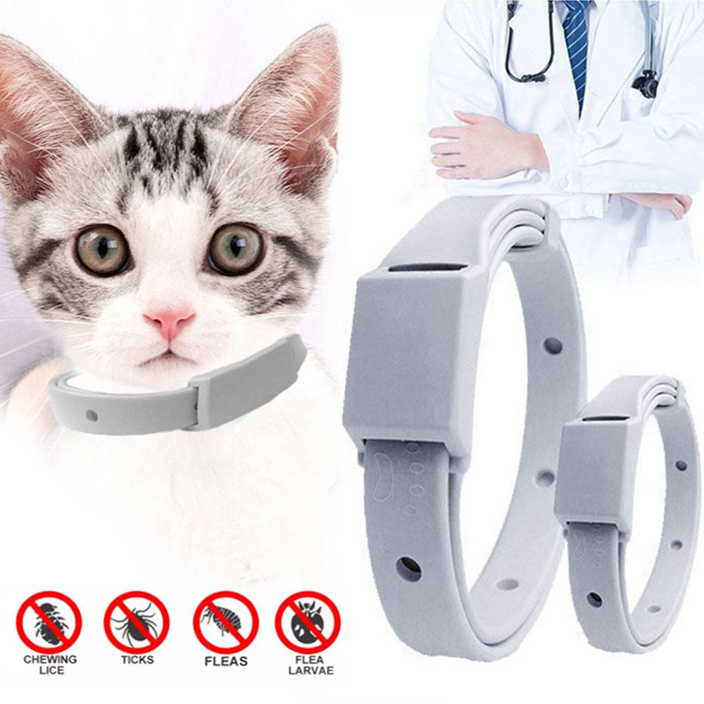 Anti-Flea Tick Collar for Cats and Dogs