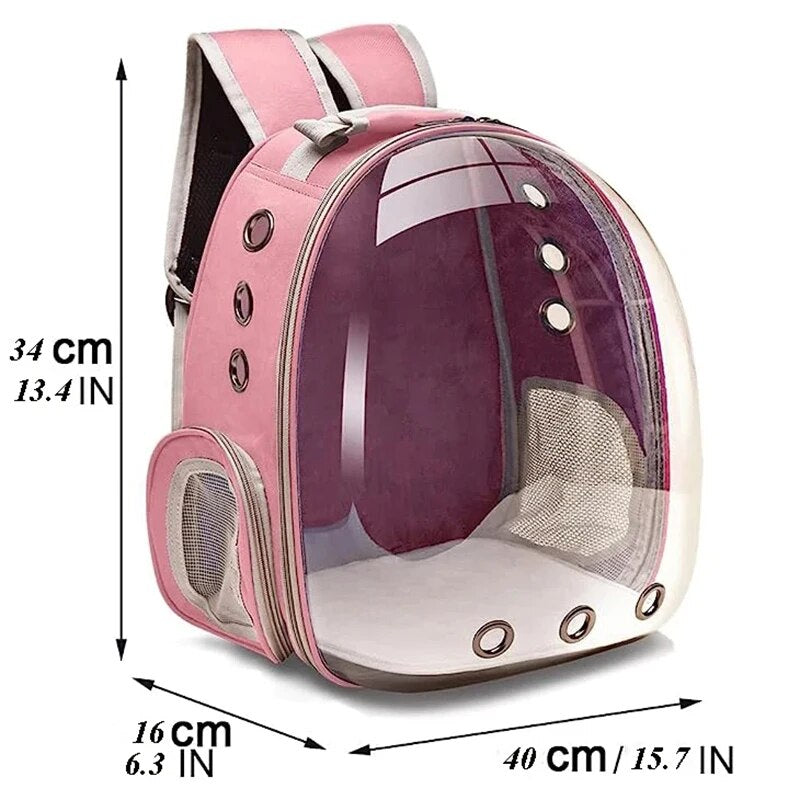 Transparent Pet Bubble Backpack