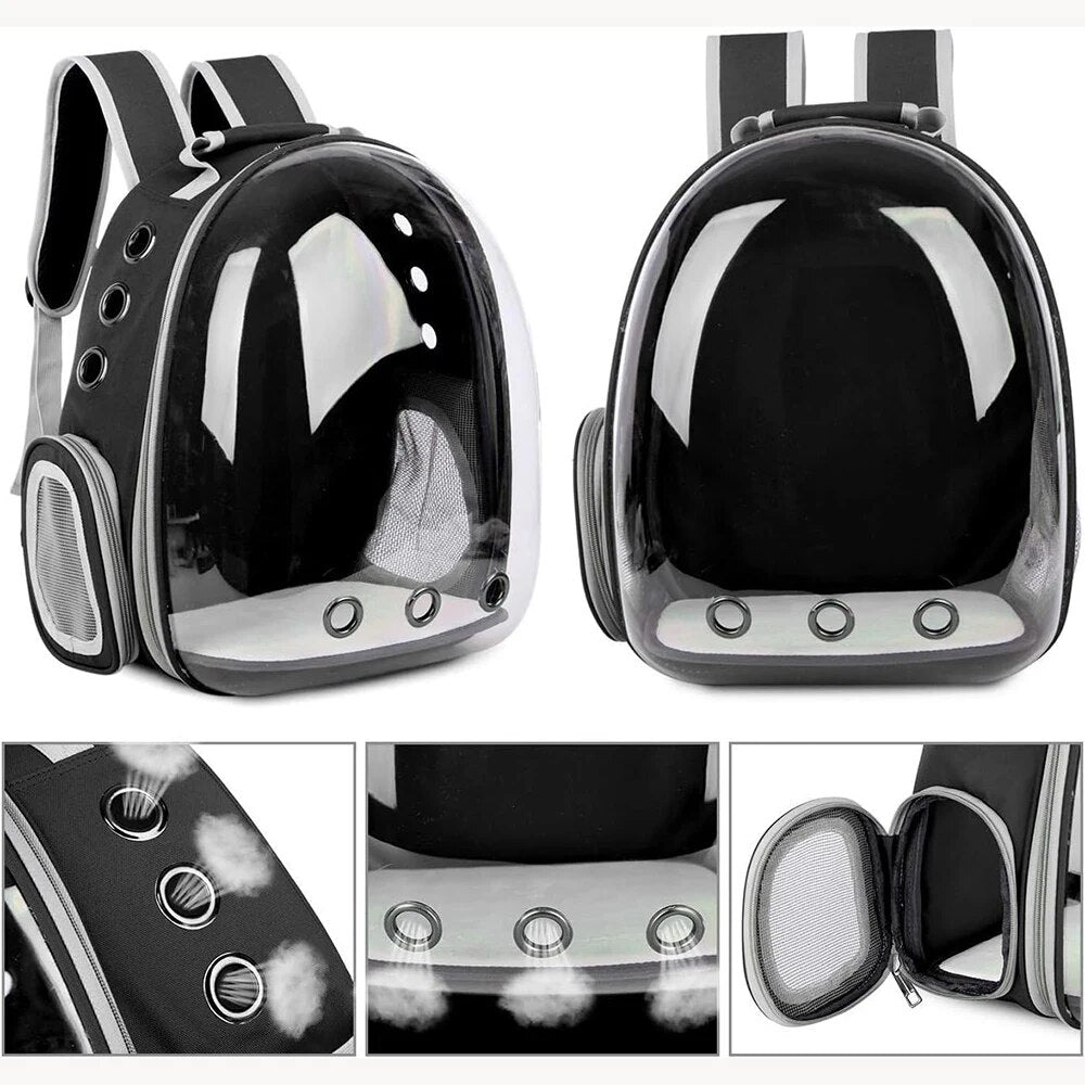 Transparent Pet Bubble Backpack