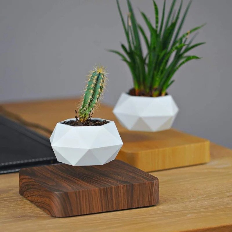 Floating Plant Pot™