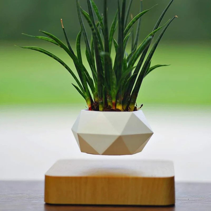 Floating Plant Pot™