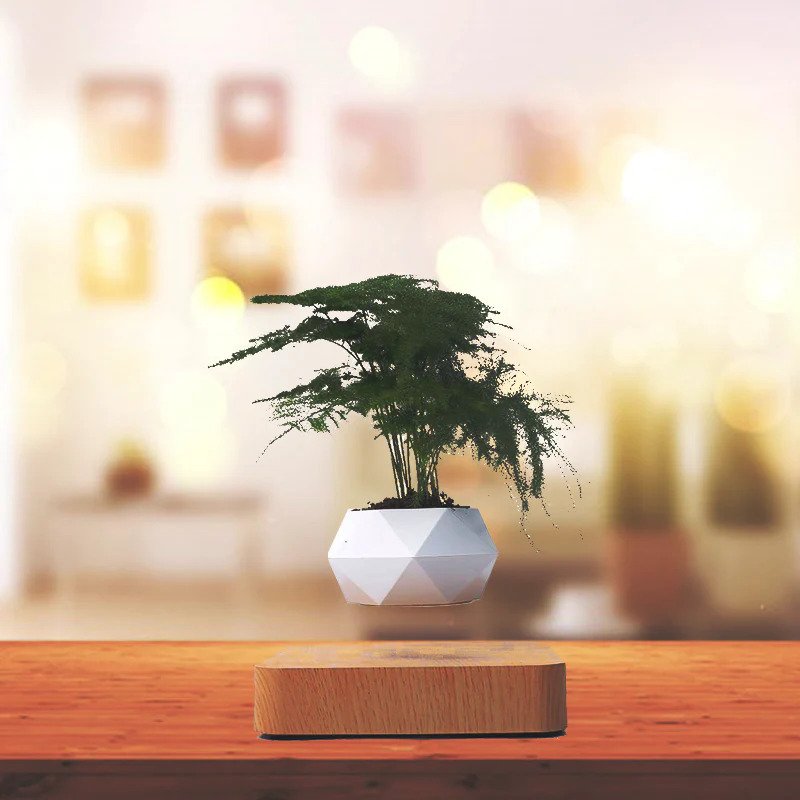 Floating Plant Pot™