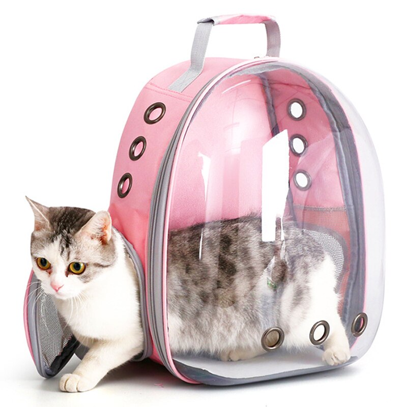 Transparent Pet Bubble Backpack